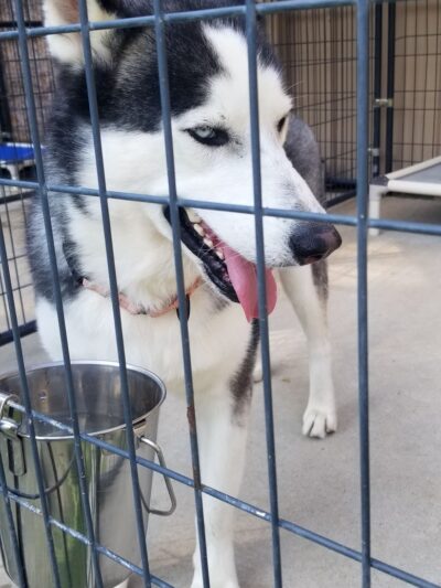 Bossart Park - Tyler, TX