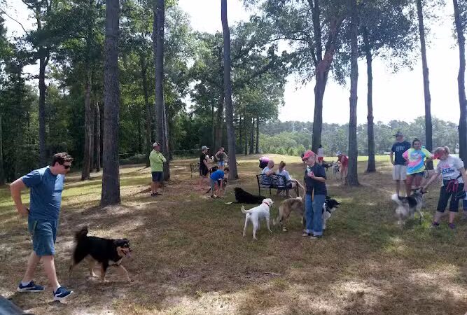 Bossart Park - Tyler, TX