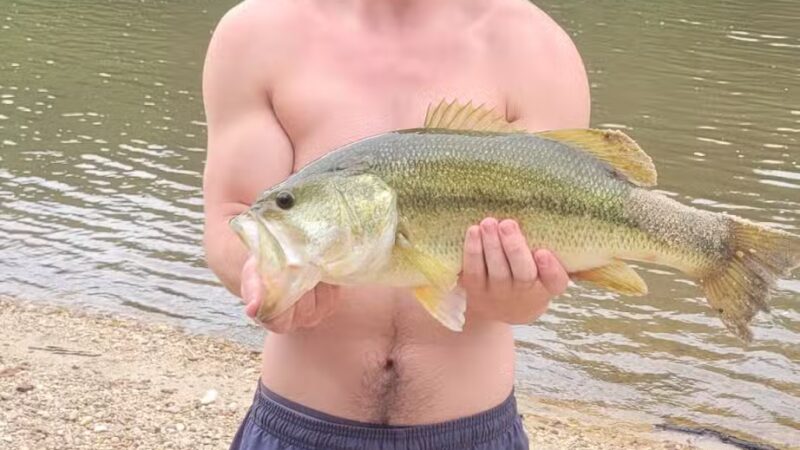 Canoe and Trail Sweetwater Tubing - Tylertown, MS