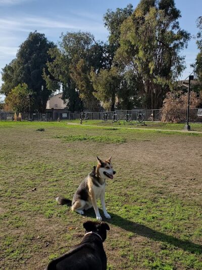 Drigon Dog Park - Union City, CA