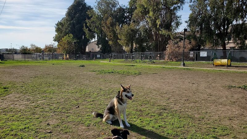 Drigon Dog Park - Union City, CA