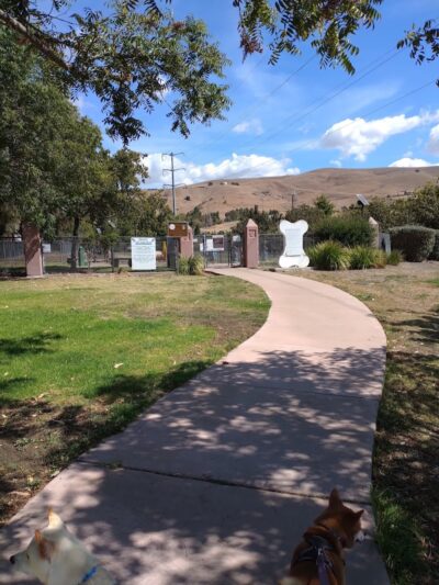 Drigon Dog Park - Union City, CA