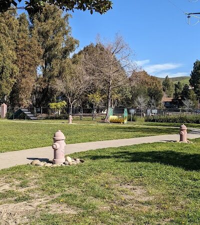 Drigon Dog Park - Union City, CA