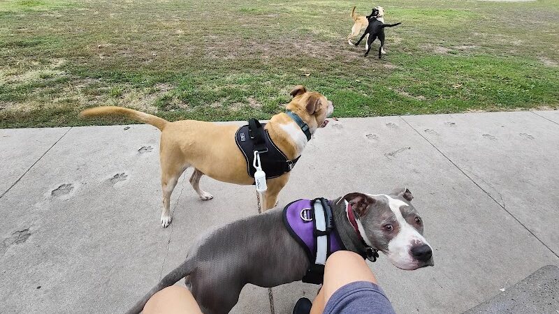 Drigon Dog Park - Union City, CA