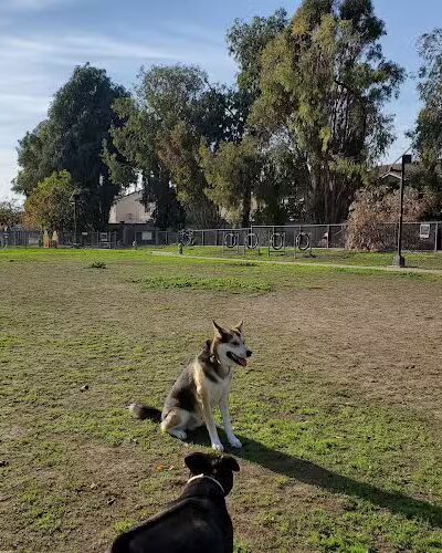 Drigon Dog Park - Union City, CA