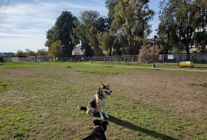 Drigon Dog Park - Union City, CA