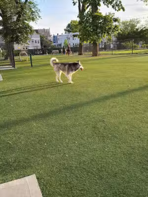 Washington Park Dog Run - Union City, NJ