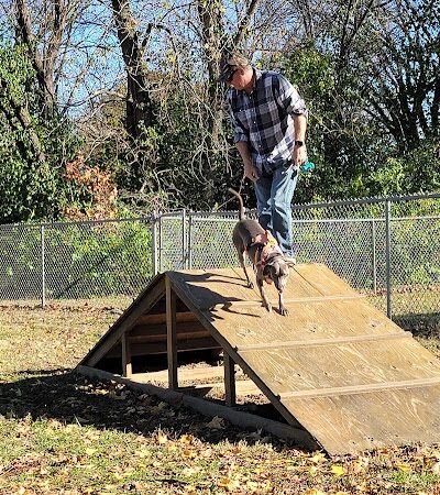 Union Dog Park - Union, MO