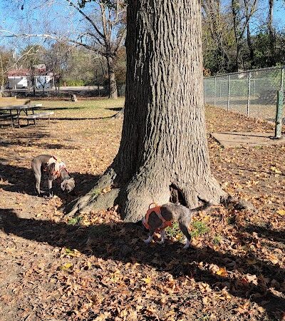 Union Dog Park - Union, MO