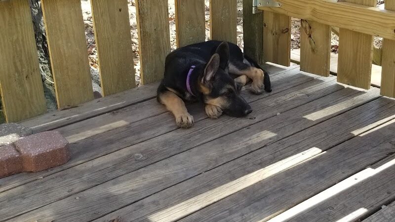 Union Dog Park - Union, MO