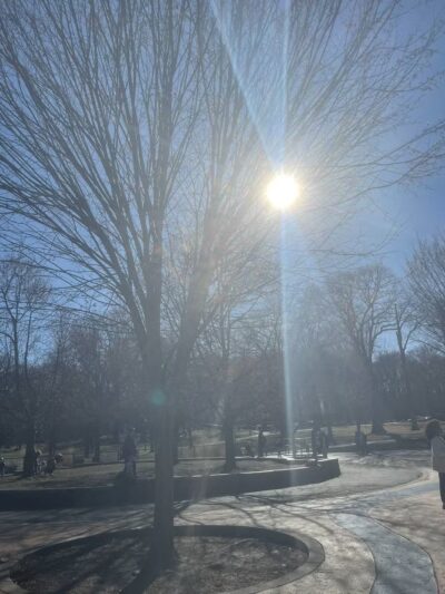 Brookdale Dog Park - UPR MONTCLAIR, NJ