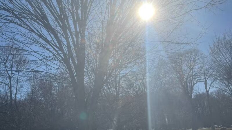 Brookdale Dog Park - UPR MONTCLAIR, NJ