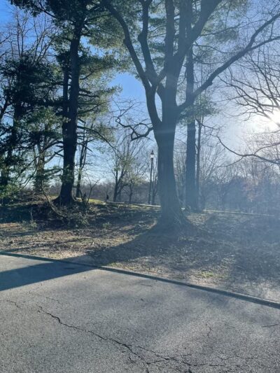 Brookdale Dog Park - UPR MONTCLAIR, NJ