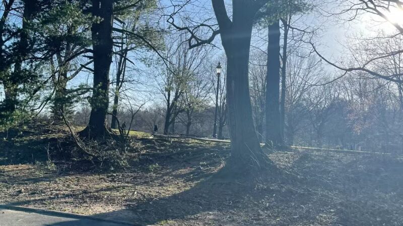 Brookdale Dog Park - UPR MONTCLAIR, NJ