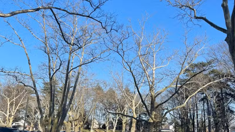 Brookdale Dog Park - UPR MONTCLAIR, NJ