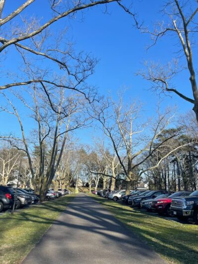 Brookdale Dog Park - UPR MONTCLAIR, NJ