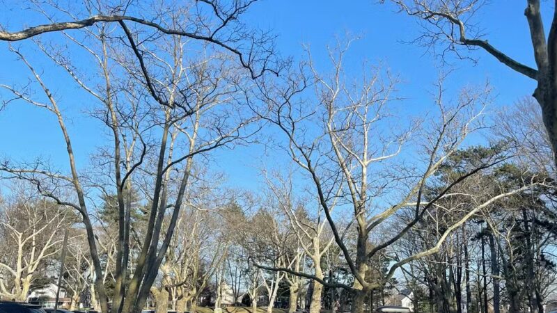 Brookdale Dog Park - UPR MONTCLAIR, NJ