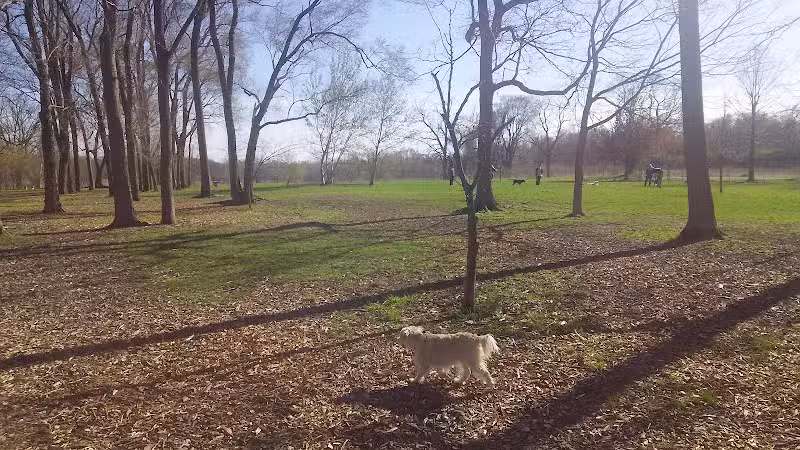 Urbana Dog Park (Private/Members Only) - Urbana, IL