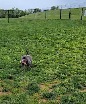 Dog Park Urbana at Urbana District Park - Urbana, MD