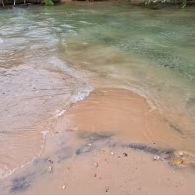 Elk Rapids Sandbar - US,