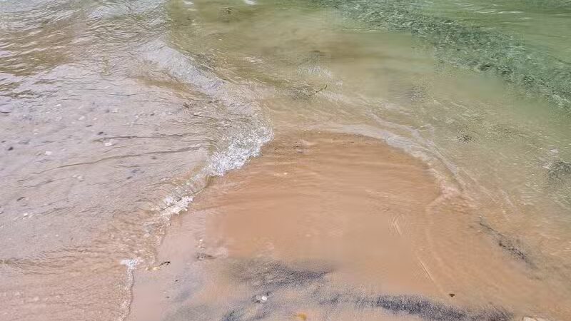 Elk Rapids Sandbar - US,