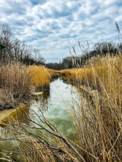 Brownies Beach - US, MD