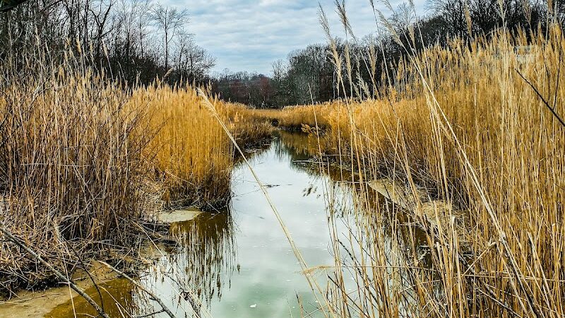 Brownies Beach - US, MD