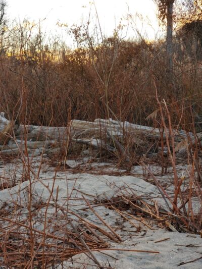 Brownies Beach - US, MD