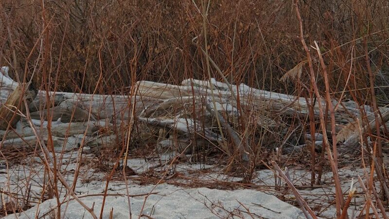 Brownies Beach - US, MD