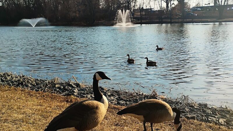 Audubon Lake - US, NJ