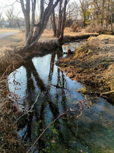Audubon Lake - US, NJ