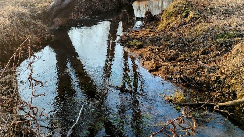 Audubon Lake - US, NJ