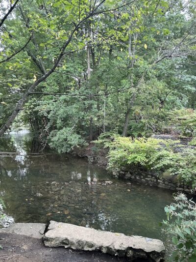Audubon Lake - US, NJ