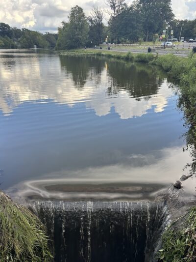 Audubon Lake - US, NJ