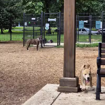 Talley Day Dog Park - US, DE