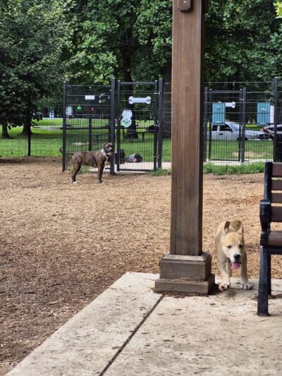 Talley Day Dog Park - US, DE