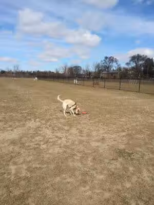 Pioneer Dog Park - Utica,