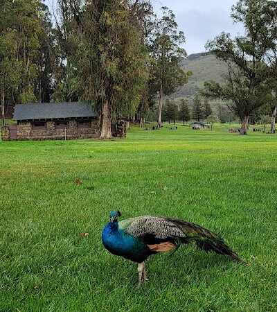 Blue Rock Springs Park - Vallejo, CA