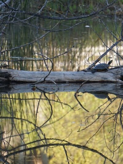 Blue Rock Springs Park - Vallejo, CA