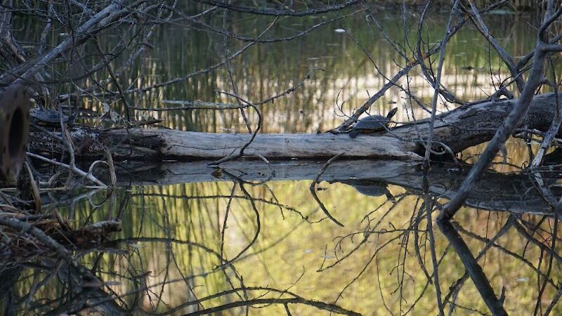 Blue Rock Springs Park - Vallejo, CA