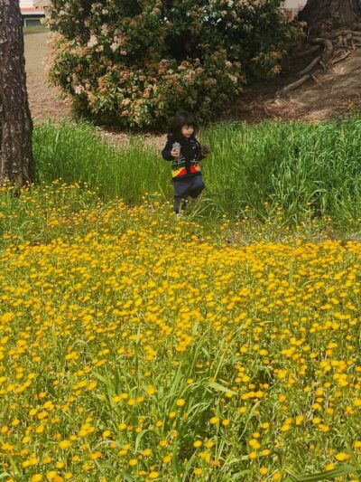 Borges Ranch Park - Vallejo, CA