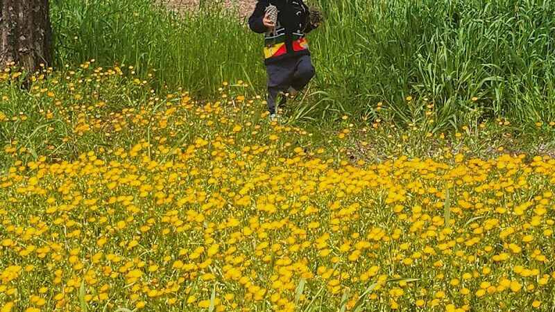 Borges Ranch Park - Vallejo, CA