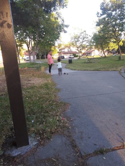 Borges Ranch Park - Vallejo, CA