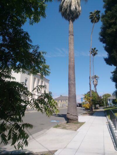 City Park - Vallejo, CA