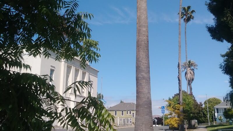 City Park - Vallejo, CA