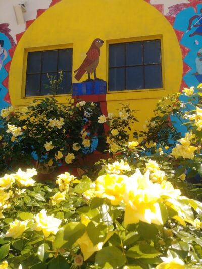 City Park - Vallejo, CA