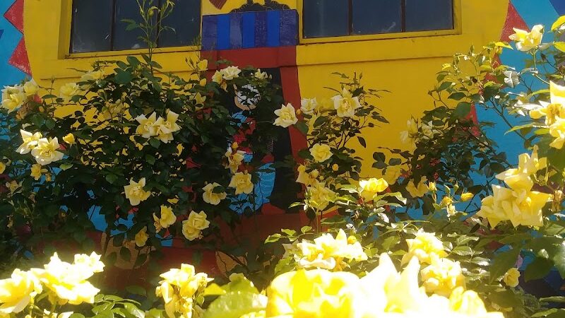 City Park - Vallejo, CA