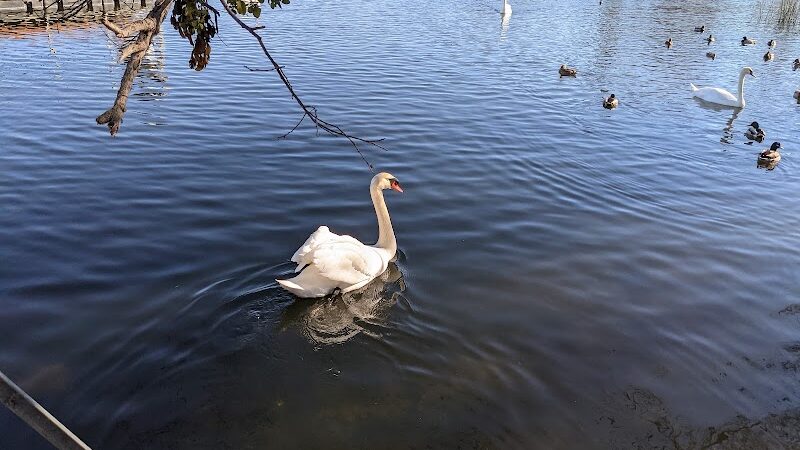Dan Foley Park - Vallejo, CA
