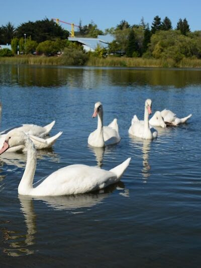 Dan Foley Park - Vallejo, CA
