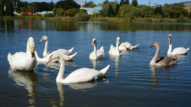 Dan Foley Park - Vallejo, CA